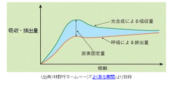 吸収　排出量