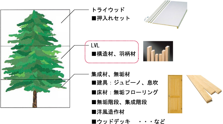 全ての工程が認証を受けることで、最終製品をFSC認証製品として出荷可能に