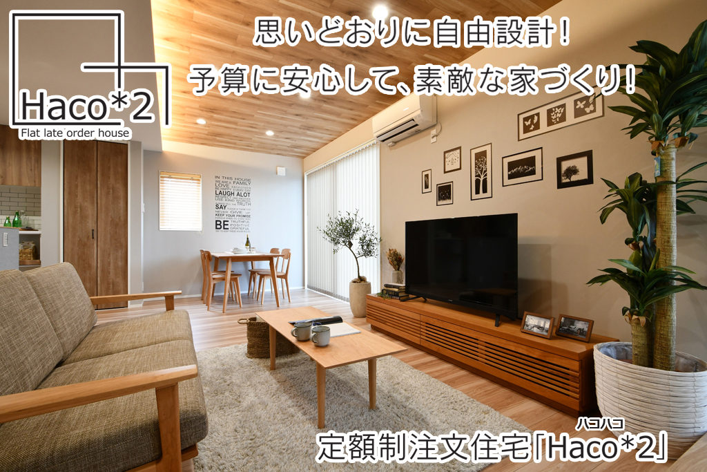 定額制注文住宅 Haco 2 白いキューブの家 公開中 富山市の注文住宅 Zeh